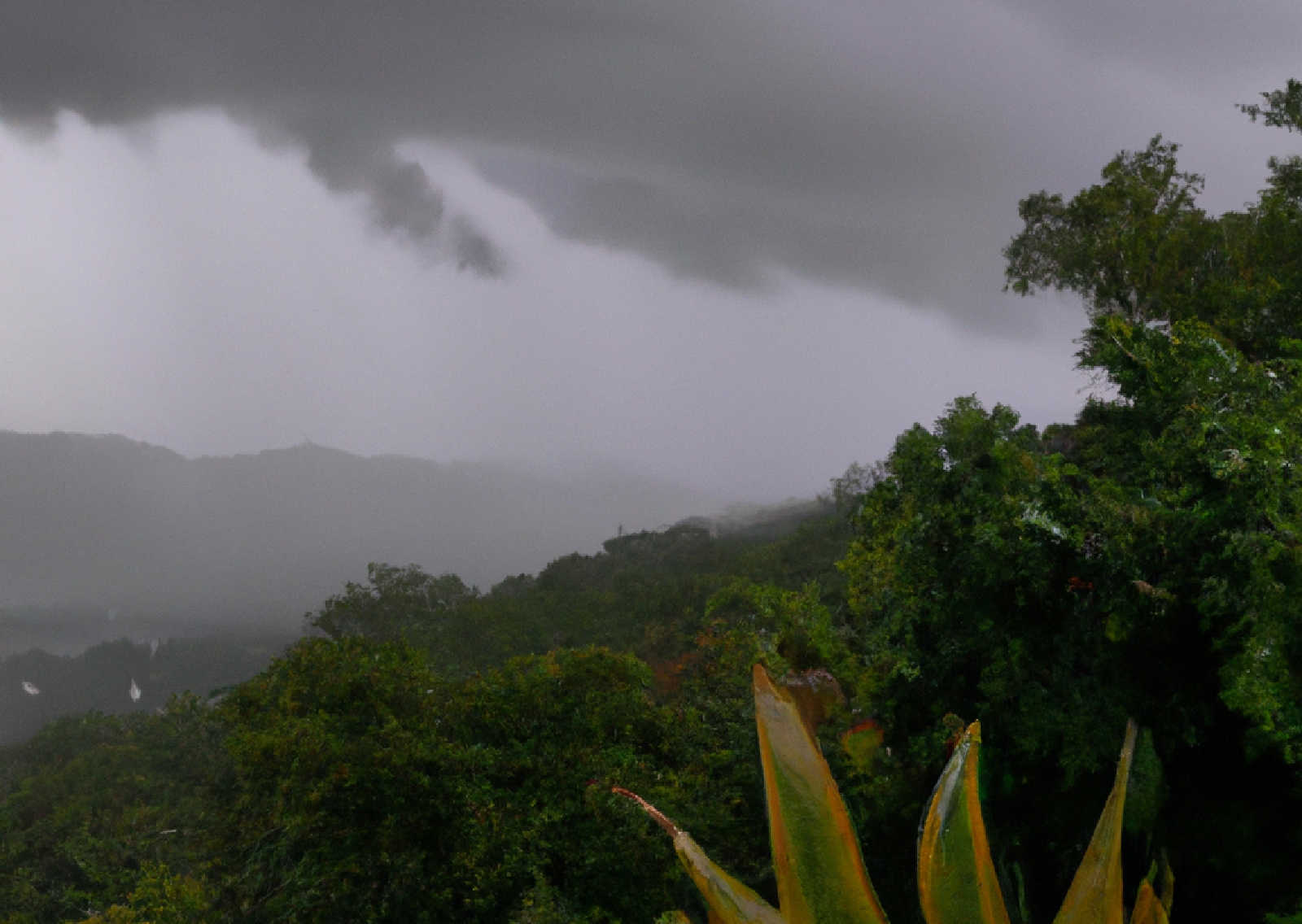 USVI, Eastern Half of Puerto Rico at Risk of Flooding Through Friday